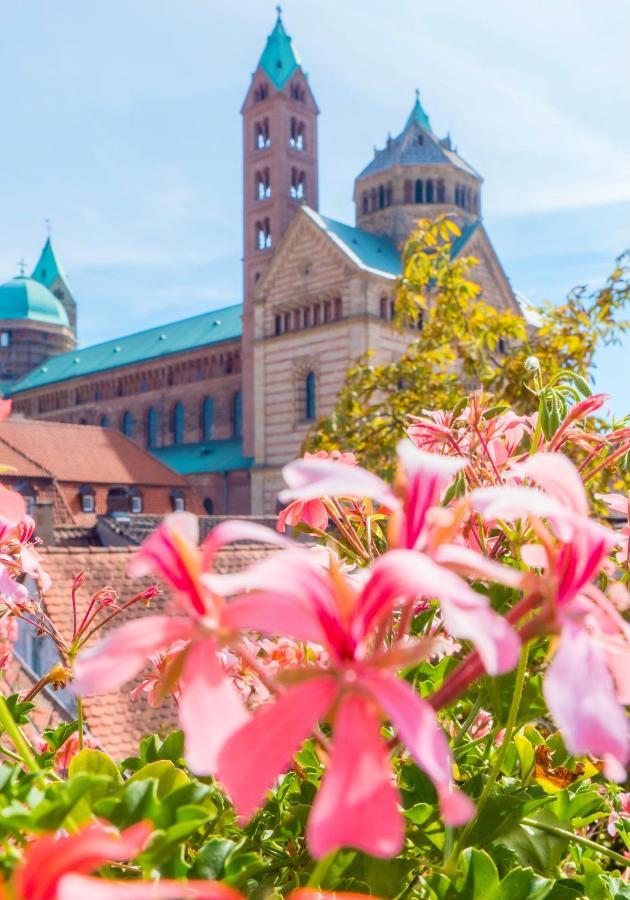 Hotel Domhof Speyer Bagian luar foto